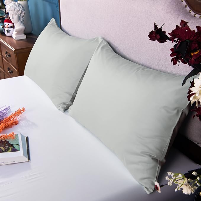 NTBAY Egyptian Cotton Queen Pillowcases - Set of 2, 500 Thread Count Cotton Pillowcases - Soft and Breathable Envelope Closure Pillow Cases - 20x30 Pillow Covers for Bed, Light Grey