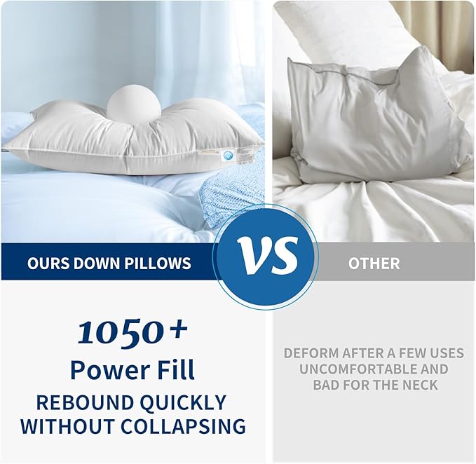 Canadian Luxury Goose Down Pillow Queen Size - 1050 Fill Power, 100% Cotton with Teflon Shell- Ultra Comfort Sleep Pillows - Bed Pillows for Back, Stomach, Side Sleeper(White,King(Pack of 1))