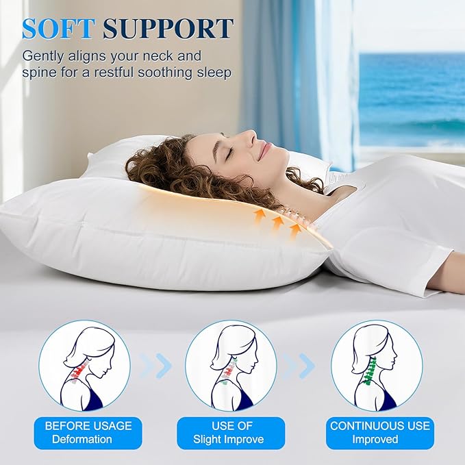 Goose Down and Feather Pillow Queen Size, 100% Cotton Shell, 3-Chamber 5 Stars Hotel Pillow for Sleeping, Bed Pillows for Neck Pain Relief, Perfect for Side, Back Sleepers - (20"x30",1 Pack)