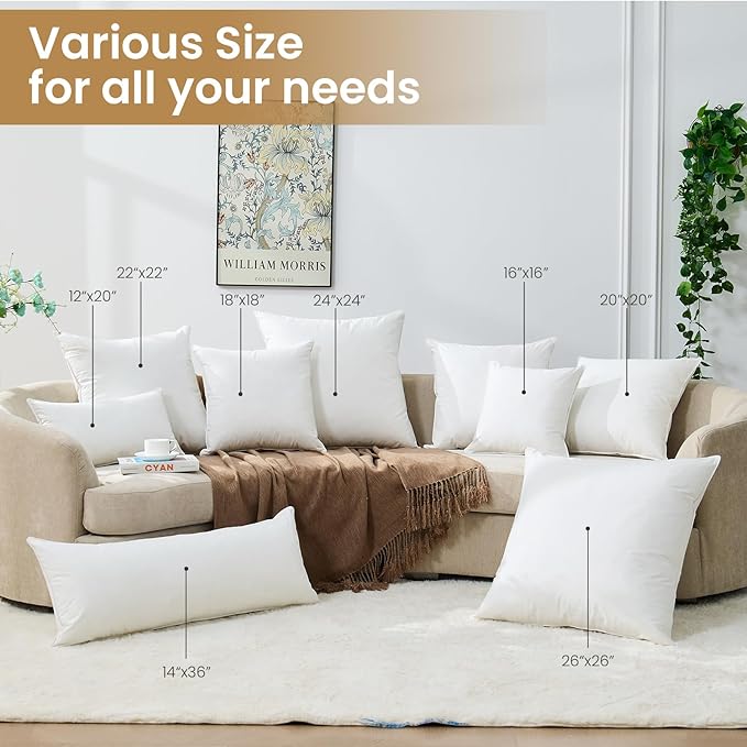 BHZ Throw Pillows 18x18 Euro Pillow Inserts Set of 2, Down Feather Alternative Pillow Inserts, Decorative Soft Large Square White Throw Pillows Insert for Couch Bed Dorm Sofa with Breathable Cover