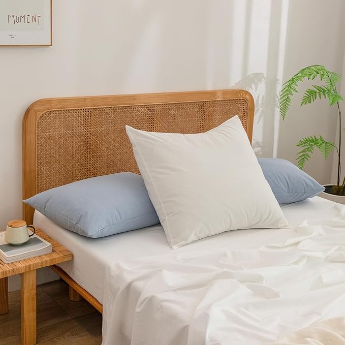 BESTOUCH 100% Washed Cotton Pillowcase for Hair and Skin Linen Feel Soft Comfortable Breathable 2 Set Pillow Case with Envelope Closure Solid Cornflower Blue Standard 20x26 Inches