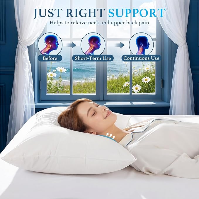 Canadian White Goose Down Pillow Queen Size- 900+ Fill Power, Soft Down Pillows for Sleeping, Fluffy Hotel Luxury Bed Pillows for Neck Pain, Side Sleeper Pillow (1 Pack, 20"x30")