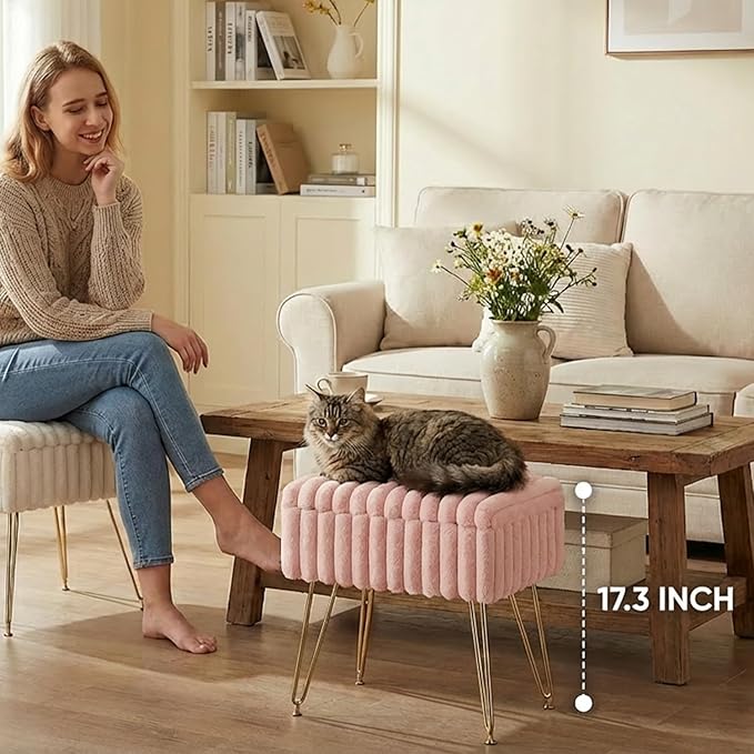 EBENCHICO Vanity Stool Chair with Storage, Faux Fur Stools for Vanity Makeup, Foot Stool Ottoman with 4 Metal Legs, Small Vanity Bench Seat Chairs for Living Room Bedroom