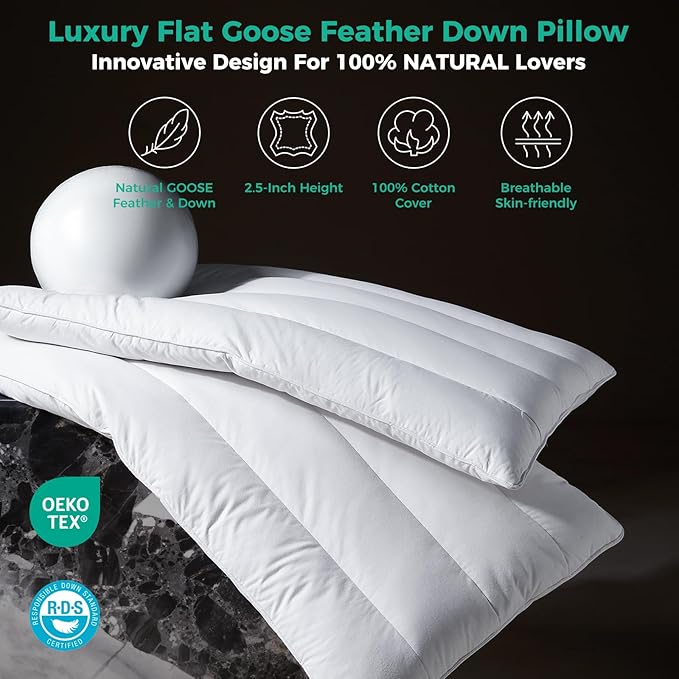Three Geese Luxury Thin Flat Goose Feather Down Pillows Queen Size Set of 2, 2.5" Height, 100% Organic Cotton Cover, Medium Firm Hotel Collection Ultra Slim Thin Bed Pillows, Machine Washable