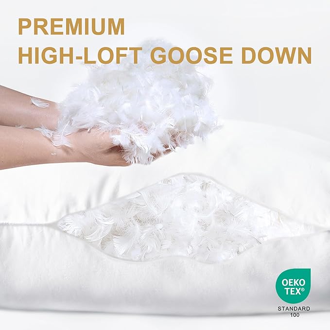 Goose Down Pillows Queen Size Set of 2 with 750 Fill Power, Hotel Quality Bed Pillows for Sleeping - Medium Firm Feather Pillows Ideal for Side, Back, Stomach Sleepers (20” x 28”)