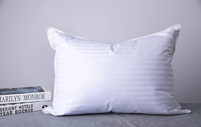 Goose Down Feather Bed Pillows for Sleeping Hotel Collection Queen Pair Pillows Stripe White Queen Set of 2 Pillows