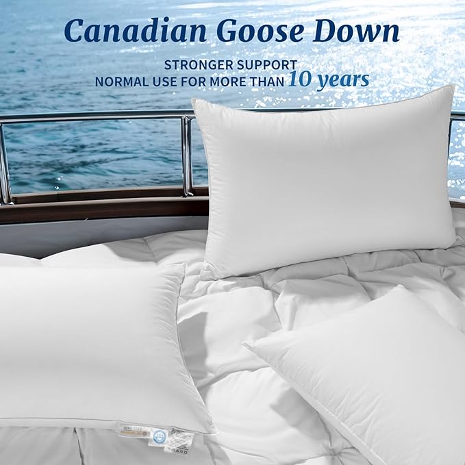 Canadian Luxury Goose Down Pillow King Size - 1050 Fill Power, 100% Cotton with Teflon Shell- Ultra Comfort Sleep Pillows - Bed Pillows for Back, Stomach, Side Sleeper(White,King(Pack of 2))