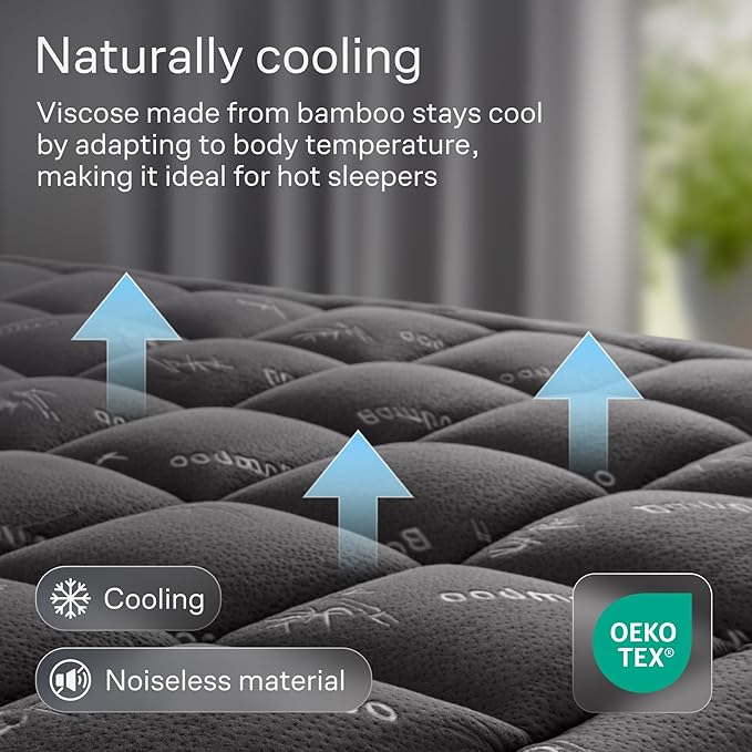 Niagara Sleep Solution Ultra Soft Twin Size Mattress Topper - Rayon Derived from Bamboo Pillow Top Mattress Pad for Back Pain Relief - Naturally Cooling for Hot Sleepers, Dark Gray