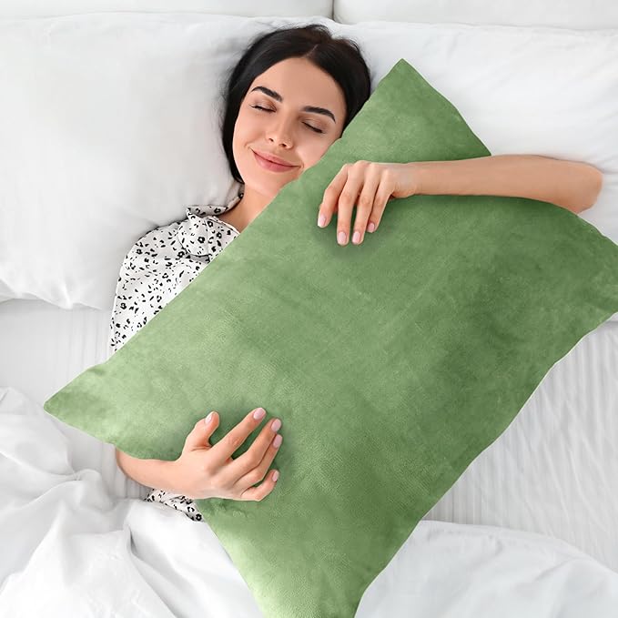 BEDELITE Flannel Pillow Cases Queen Size Set of 2, Super Soft Fleece Pillowcases with Zipper for Bedroom, Sofa, Couch,Luxury Cozy Velvet Pillow Shams for All Seasons(20x30 Inches,Sage Green)