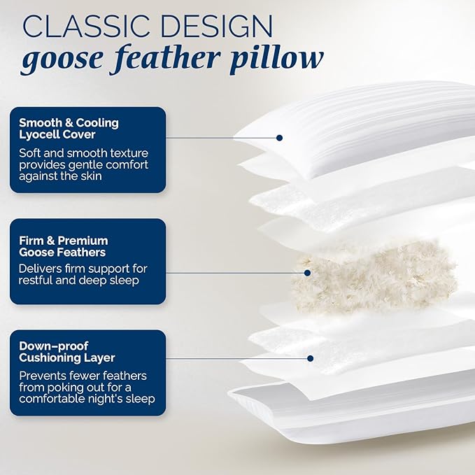 downluxe Goose Feather and Down Pillows - 2 Pack Gusseted Hotel Collection Feather Pillows Set of 2 for Back, Stomach or Side Sleepers, Queen Size (18"x26"x2")