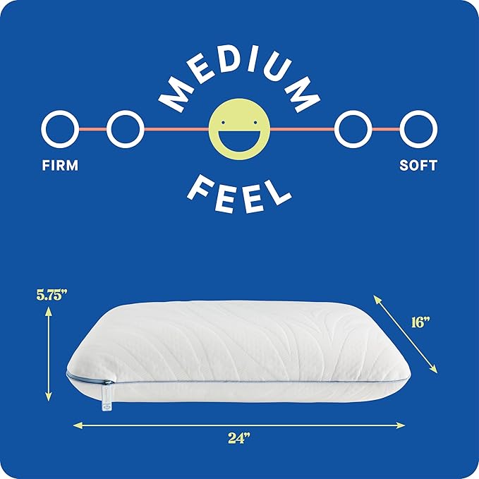 Sealy Dreamlife Queen Size Memory Foam Cooling Pillow with Surface Guard Technology, Removable Machine-Washable Cover, 1 Year Limited Warranty, White (2 Pack)