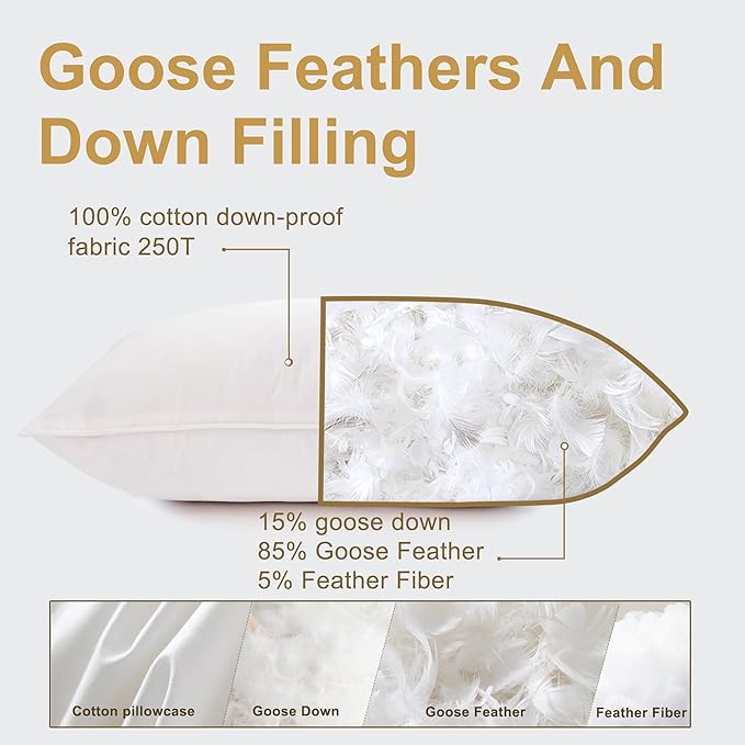 Goose Down Pillows Queen Size Set of 2 with 750 Fill Power, Hotel Quality Bed Pillows for Sleeping - Medium Firm Feather Pillows Ideal for Side, Back, Stomach Sleepers (20” x 28”)