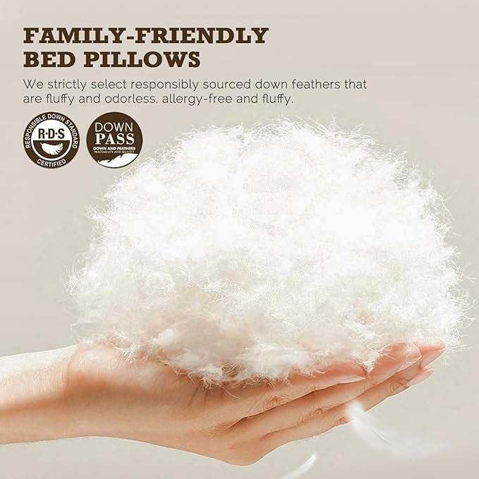 BPC Goose Feather Down Pillows Standard Size Set of 2, Luxury Hotel Pillows with 100% Organic Cotton Cover, Bed Pillow for Medium Firm Support & Cloud-Like Comfort, 20"x26"