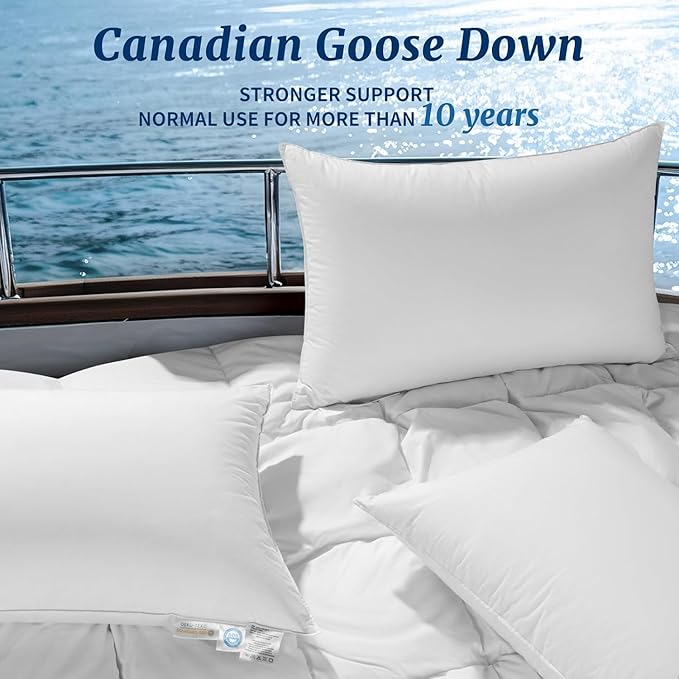 Canadian Luxury Goose Down Pillow Queen Size - 900 Fill Power, 100% Cotton with Teflon Shell- Ultra Comfort Sleep Pillows - Bed Pillows for Back, Stomach-fx(White,Queen(Pack of 2))