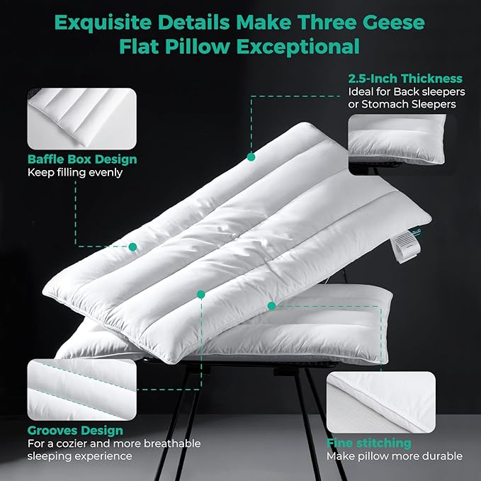 Three Geese Luxury Natural Flat Thin Goose Feather Down Pillows King Size, 2.5" Height, 100% Organic Cotton Cover, Medium Firm Hotel Collection Ultra Slim Thin Bed Pillows, Machine Washable, 18" x 36"