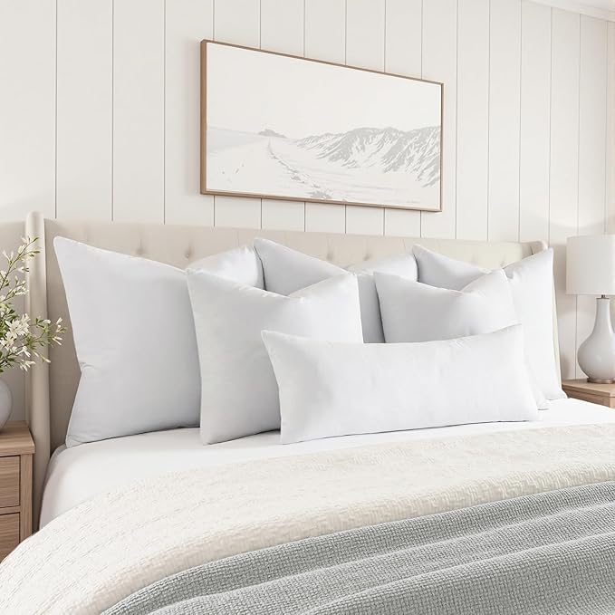 MIULEE 30 x 30 Goose Feather Down Euro Pillow with 100% Cotton Cover, Set of 1 Soft Fluffy Decorative Pillow Insert for Sofa Bed Couch Living Room White
