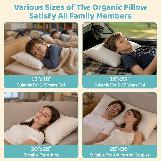 20x26 Organic Pillow with 100% Organic Cotton Pillowcase and Shell - Soft Non Toxic and Breathable Pearl Filling, CPSC Certified and Oeko-TEX, Adjustable Loft Organic Pillow, Machine Washable
