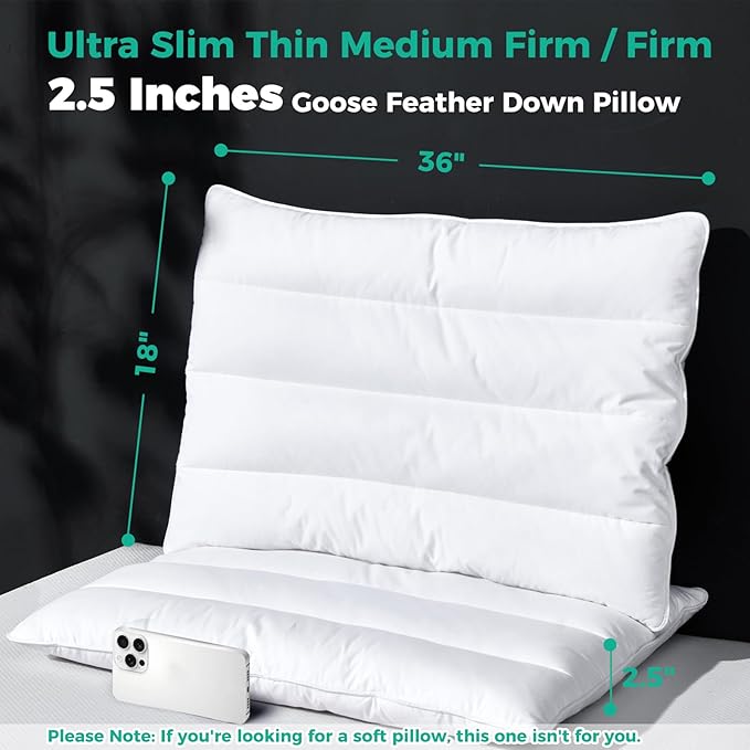 Three Geese Luxury Thin Flat Goose Feather Down Pillows King Size Set of 2, 2.5" Height, 100% Organic Cotton Cover, Medium Firm Hotel Collection Ultra Slim Thin Bed Pillows, Machine Washable