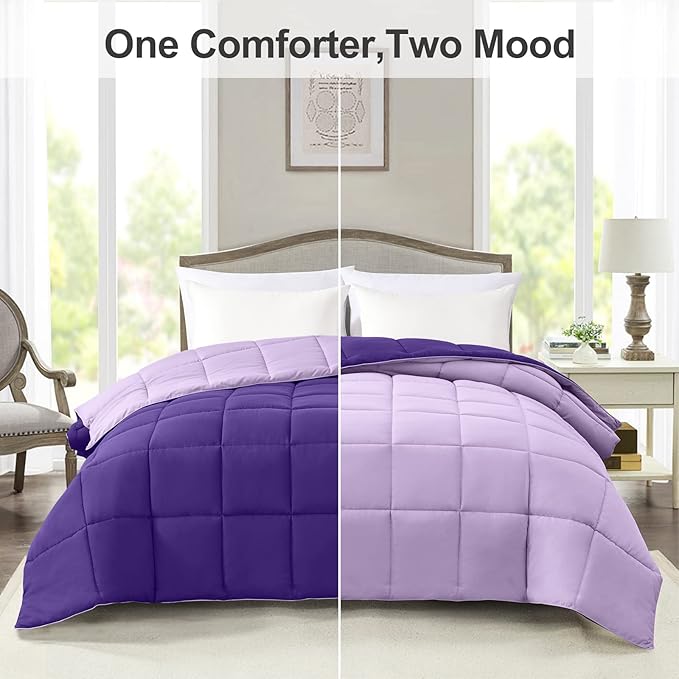 Homelike Moment Comforters Queen Size - Purple Duvet Insert Down Alternative Bed Queen Comforter, Lightweight Bedding Comforter Full Size Quilted Soft All Season Reversible Plum/Light Purple