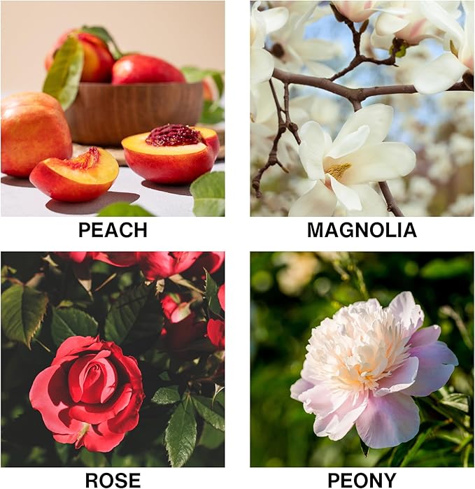 Flora D'Amour Scent Reed Diffuser Oil – with Rose, Peony, Magnolia & Peach – Long Lasting Aroma Diffusers for Home, Bedroom, Bathroom & Office – 50ml