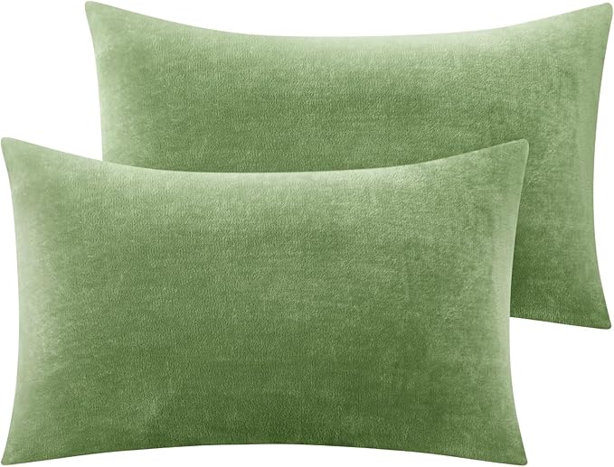BEDELITE Flannel Pillow Cases Queen Size Set of 2, Super Soft Fleece Pillowcases with Zipper for Bedroom, Sofa, Couch,Luxury Cozy Velvet Pillow Shams for All Seasons(20x30 Inches,Sage Green)