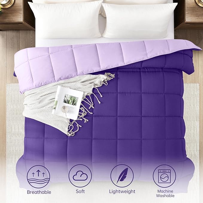 Homelike Moment Oversized Queen Comforter - Purple Duvet Insert Down Alternative Bed Comforter, Lightweight Bedding Comforters Oversize Queen Quilted Soft All Season Reversible Plum/Light Purple