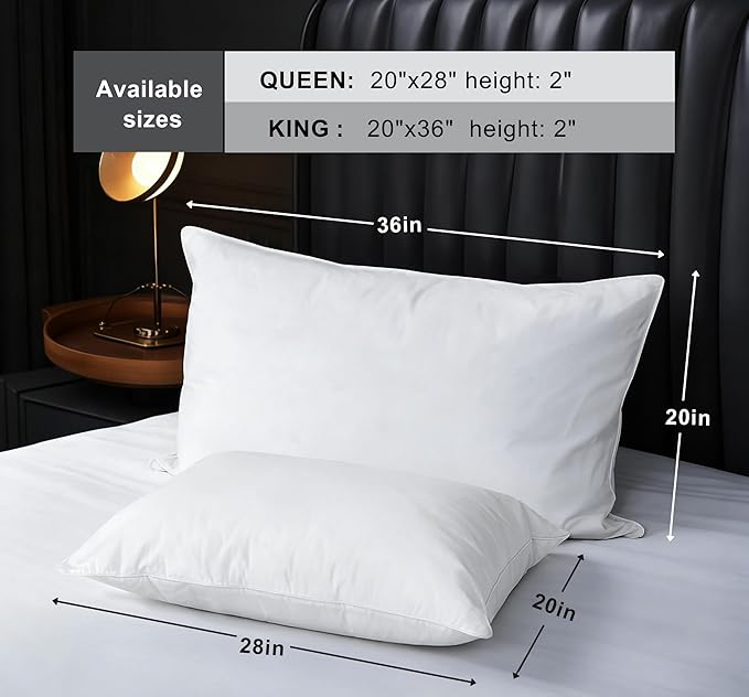 Goose Down Pillow, Hotel Quality with Feather Fill, 750 Fill Power Queen Size - 2 Pack with Pillowcase for Master Bedroom, Support for Back, Side, Stomach Sleepers (Standard Size 20" x 26")