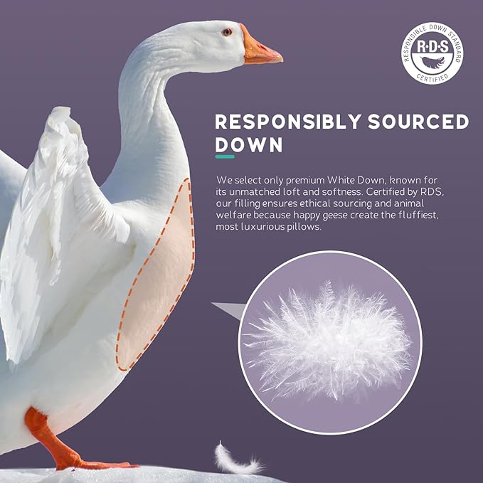 White Goose Down Pillow Luxury Hotel Bed Pillow with 100% 900+ Fill Power, Goose Feather Pillow for Sleeping, 700TC Cotton Shell, King Size- Medium, 1 Pack