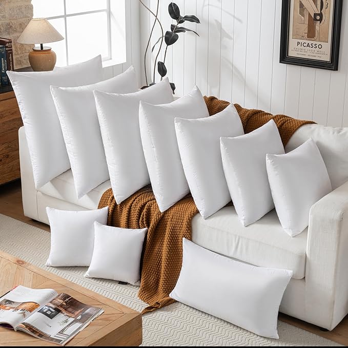 basic home® Hotel-Style Goose Feather Down Euro Pillow Insert for Sofa & Bed - 100% Odorless & Plump Cushion Filler - 233TC Cotton with Inner Liner to Prevent Poking (24x24 Inch)