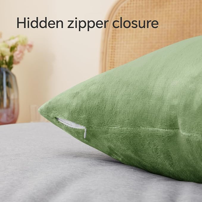 BEDELITE Flannel Pillow Cases Queen Size Set of 2, Super Soft Fleece Pillowcases with Zipper for Bedroom, Sofa, Couch,Luxury Cozy Velvet Pillow Shams for All Seasons(20x30 Inches,Sage Green)