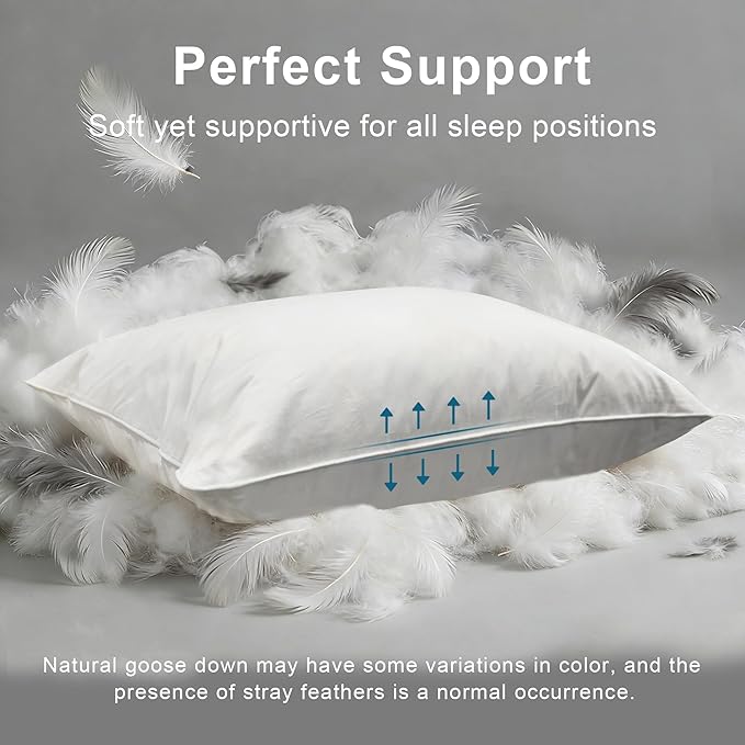 Goose Down Pillow, Hotel Quality with Feather Fill, 750 Fill Power Queen Size - 2 Pack with Pillowcase for Master Bedroom, Support for Back, Side, Stomach Sleepers (Queen Size 20" x 28")