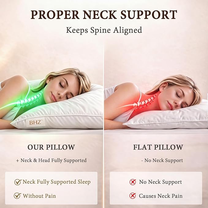 BHZ Goose Down Feather Pillows Queen Size Set of 2, Hotel Collection Bed Pillows for Sleeping Medium Firm Soft Support Pillow for Side and Back Sleepers