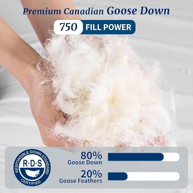 Canadian Luxury Goose Down Pillow Standard Size, 750 Fill Power, 100% Cotton with Teflon Shell- Ultra Comfort Sleep Pillows - Bed Pillows for Back, Stomach(White,Standard(Pack of 2))