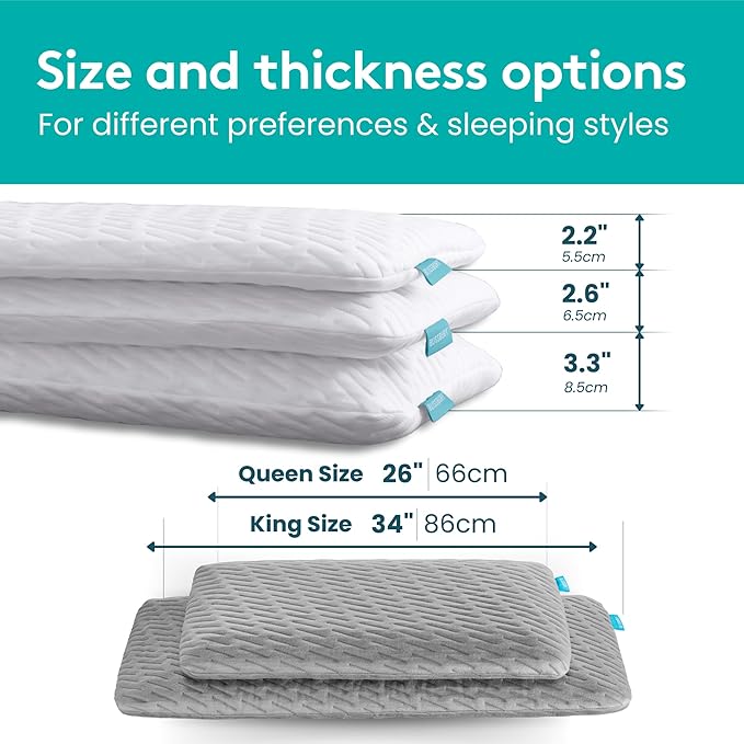 BLISSBURY Cooling Memory Foam Pillow, 2.6 Inch Thin, for Stomach & Back Sleeper, Queen Size, Removable Cool-Tech Cover, CertiPUR-US Certified