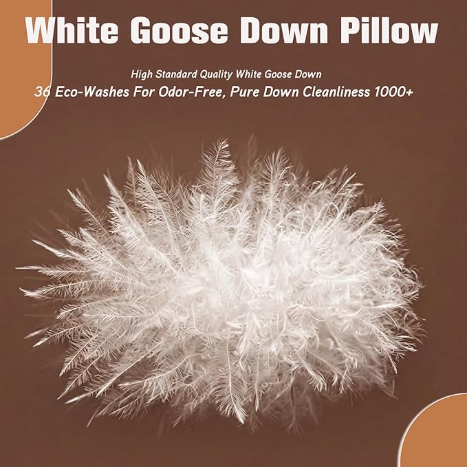 Canadian Goose Down Pillows Queen Size 80% Goose Down and 20% Goose Feathers,1650+ Fill Power White Down Pillow with 800 Thread Count Cotton Shell,Ultra Comfort Bed Pillows(White 20"x30" 1 Pack)