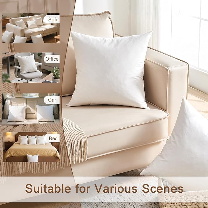 Organic Feather Down Throw Pillow Inserts (26x26 Inch, Set of 2) - 100% Cotton Shell, Filling of Feathers, Euro Square Decorative Pillow Form Core for Couch, Sofa, and Bed