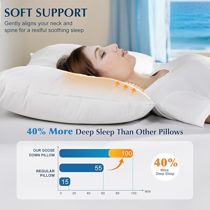 LIANLAM Goose Feather Down Pillow Queen Size, 3-Chamber 5 Star Hotel Pillow for Deep Sleep, Soft Bed Pillows for Neck Pain Relief, Perfect for Side, Back Sleepers, 100% Cotton Shell (1 Pack,20"x30")