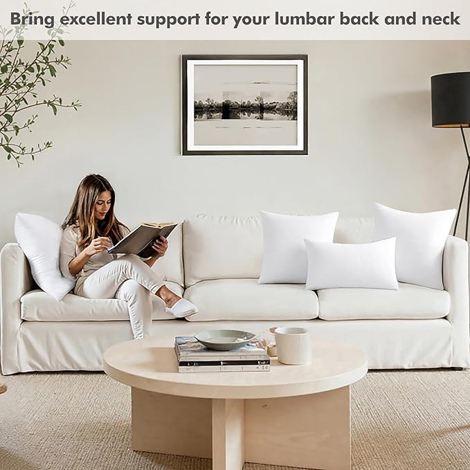 MIULEE 24x24 Inch Throw Pillow Insert Premium Throw Pillow Polyester Microfiber Stuffer Pillow for Sofa Bed Couch