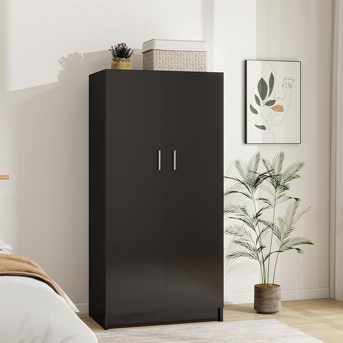 Panana 2 Door Wood Wardrobe Cabinet Closet with Hanging Rail and 2 Shelves, Bedroom Armoire for Storage (Black)
