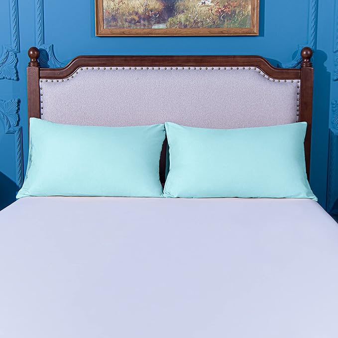 NTBAY Queen Pillowcase Set - 4 Pack Brushed Microfiber 20x30 Pillowcases - Soft, Wrinkle-Free, Fade-Resistant, Stain-Resistant, Aqua Pillowcases with Envelope Closure - 20x30 Inches, Aqua