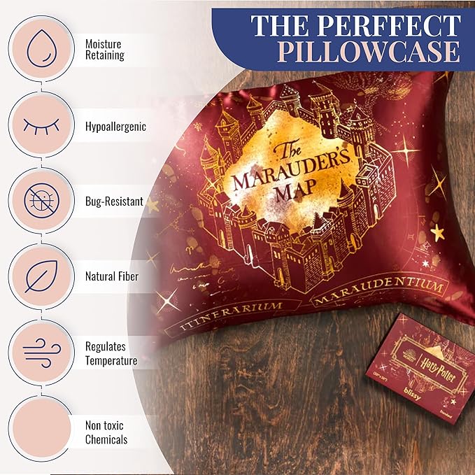 Blissy Silk Pillowcase - 100% Pure Mulberry Silk - 22 Momme 6A High-Grade Fibers - Silk Pillow Cover for Hair & Skin - Regular, Queen & King (Harry Potter - Marauder's Map, Standard)