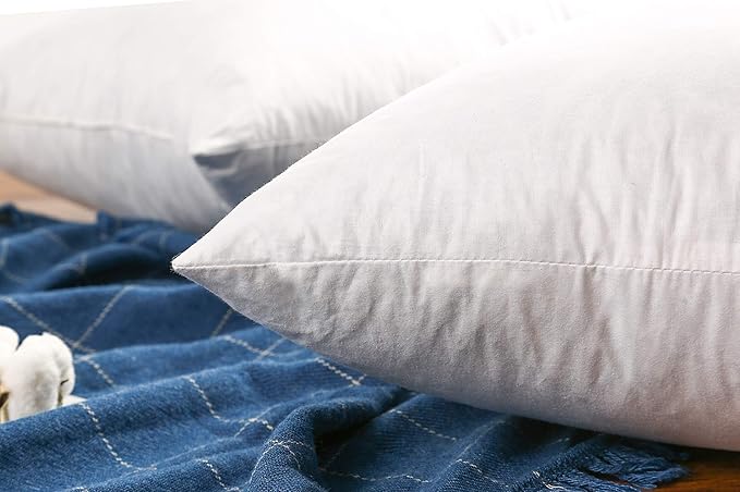 JA COMFORTS 18×18 Premium Goose Down Feather Throw Pillow Inserts(Set of 2)-5% Down Filling,High Filling Weight,250 TC Cotton Cover, Square, White