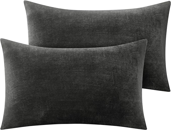 BEDELITE Flannel Pillowcases Standard Set of 2, Super Soft Fleece Pillow Case Cover with Zipper for Bedroom, Sofa, Couch,Luxury Cozy Fuzzy Velvet Pillow Shams for All Seasons(20x26 Inches, Dark Gray)