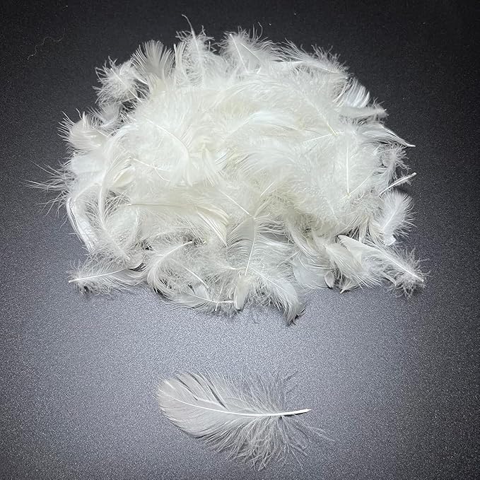 Bulk Goose Down Feather Stuffing & Fill – Hypoallergenic Pillow Filling, Repair, Restuff, Fluff for Couch Cushions, Comforters, Jackets5/95-8Lb DIY