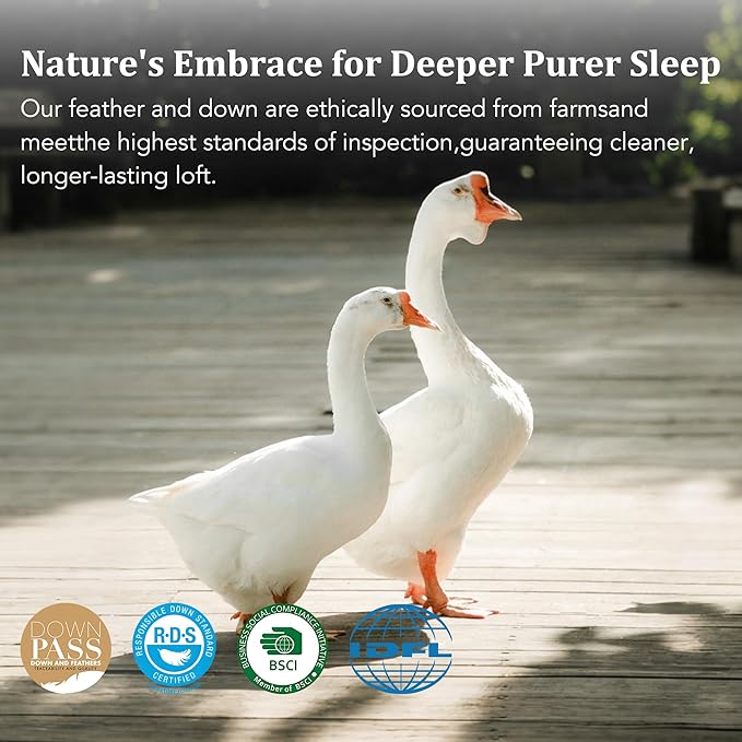 Down Bed Pillows Standard Size Set of 2, Luxurious Hotel Pillow for Back,Stomach and Side Sleepers,Downproof, Soft, Fluffy, Breathable Cotton Blend Shell,Down Pillow Ideal for Every Night