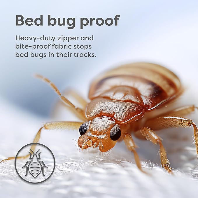 HOSPITOLOGY PRODUCTS Mattress Encasement - Zippered Bed Bug Dust Mite Proof Hypoallergenic - Sleep Defense System - Queen - Waterproof - Stretchable - Ultra Low Profile 6" Depth - 60" W x 80" L