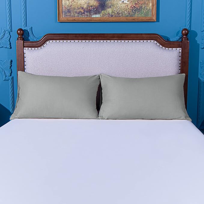 NTBAY Queen Pillowcase Set - 4 Pack Brushed Microfiber 20x30 Pillowcases - Soft, Wrinkle-Free, Fade-Resistant, Stain-Resistant, Smoke Grey Pillowcases with Envelope Closure - 20x30 Inches, Smoke Grey