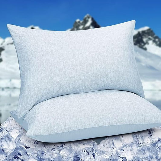 HOMFINE Cooling Pillowcases Standard Size - Double Side Q-Max 0.439 Cooling Fiber for Pillow Protector, Breathable Cold Pillow Cover for Hot Sleeper Night Sweat, Zipper, 2 Pack (20"x26", Light Blue)