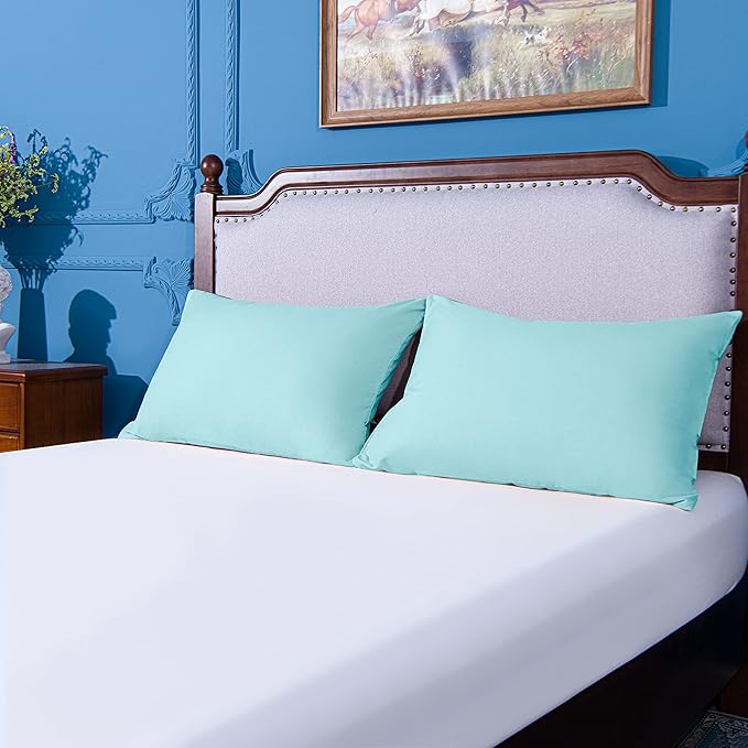 NTBAY Standard Pillowcase Set - 2 Pack Brushed Microfiber 20x26 Pillowcases - Soft, Wrinkle-Free, Fade-Resistant, Stain-Resistant, Aqua Pillowcases with Envelope Closure - 20x26 Inches, Aqua
