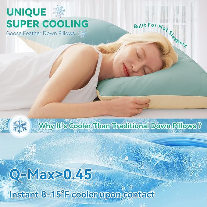 Three Geese Cooling Goose Down Feather Pillows Queen Size Set of 2 for Hot Sleepers, Q-Max>0.45, Cooling Hotel Bed Pillows with Washable Removable Cover, 20" x 30"